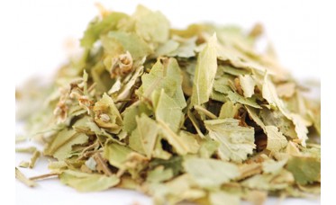 Thee Linde Thee Linde