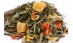 Thee Sencha Multi Fruit Thee Sencha Multi Fruit